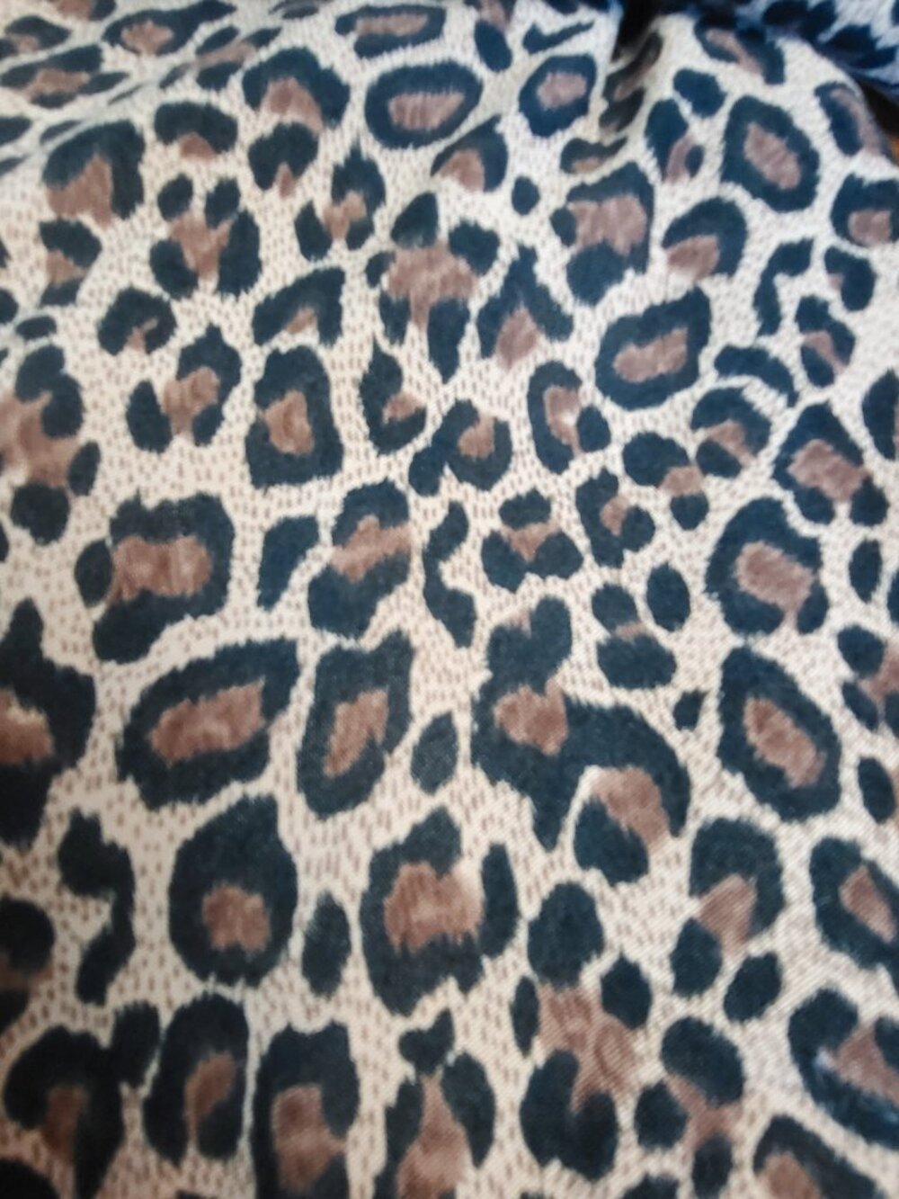 Stonebridge ~ Sz S ~ Leopard Print Jacket ~ Excellent Condition - Picture 3 of 4